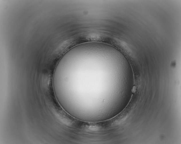 X0000093770645200710231313