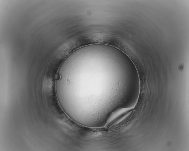 X0000093770646200710231313