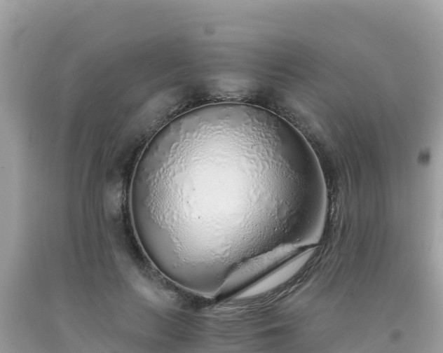 X0000093770647200710231313