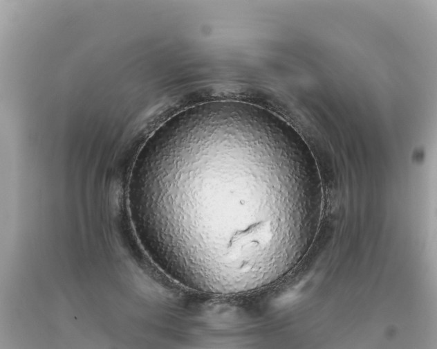 X0000093770648200710231313