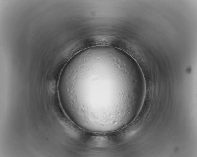 X0000093770649200710231313