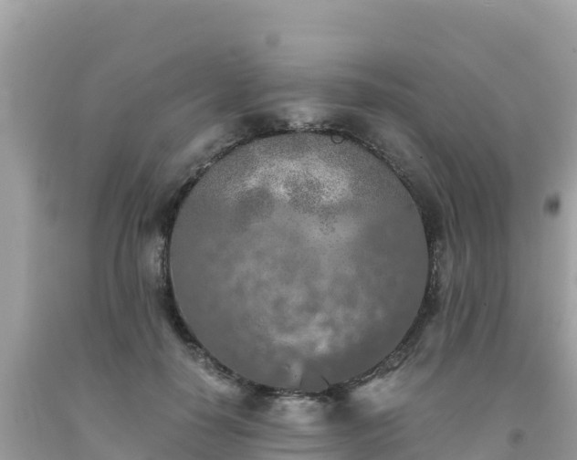 X0000093770650200710231313