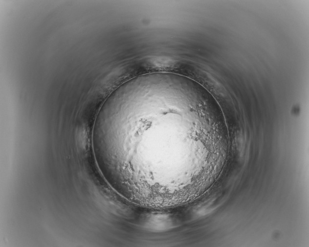 X0000093770651200710231313