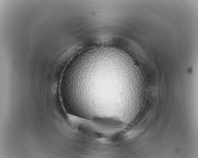 X0000093770652200710231313