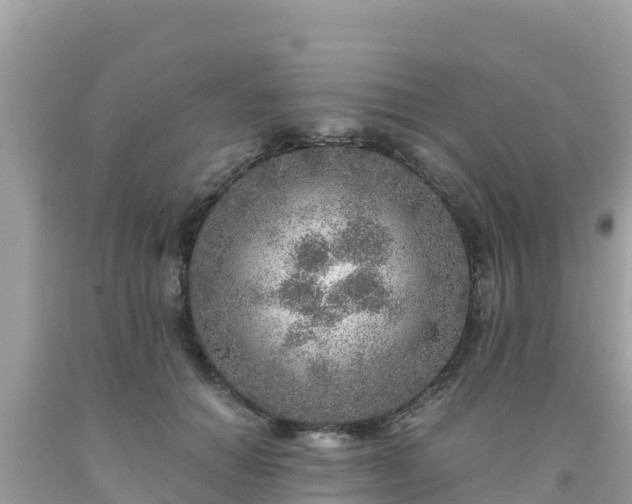 X0000093770654200710231313