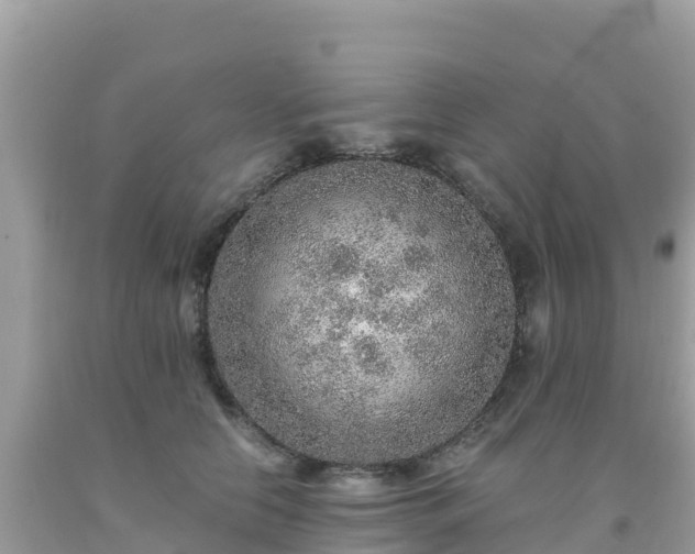 X0000093770658200710231313