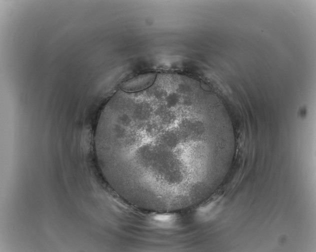 X0000093770659200710231313