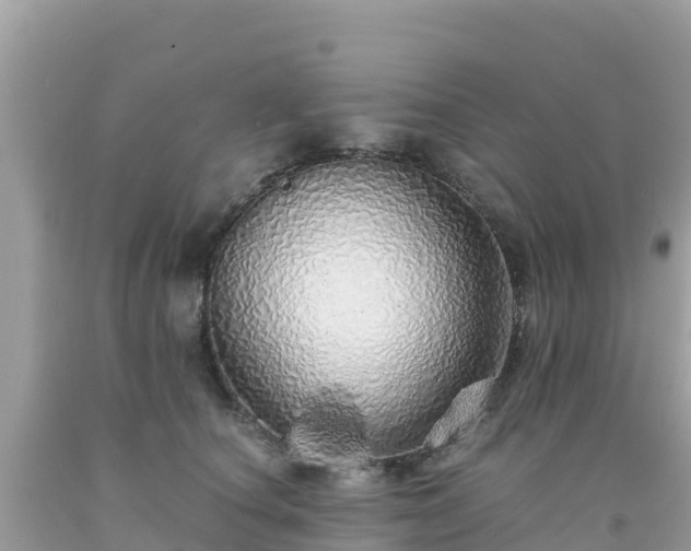 X0000093770660200710231313