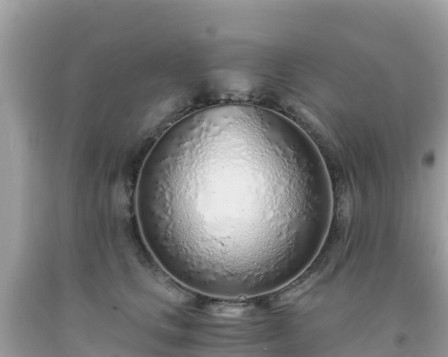 X0000093770661200710231313