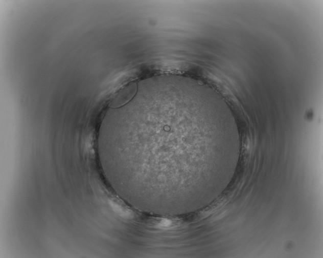 X0000093770663200710231313