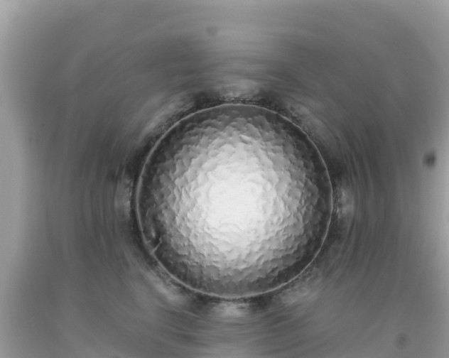 X0000093770664200710231313