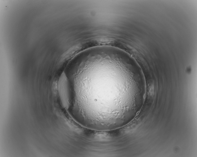 X0000093770666200710231313