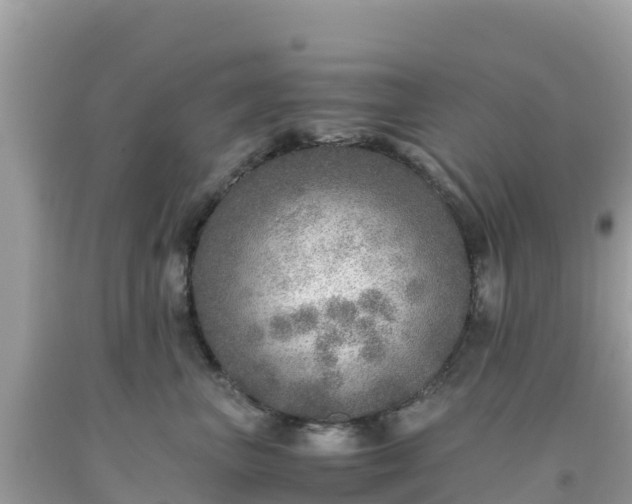 X0000093770667200710231313