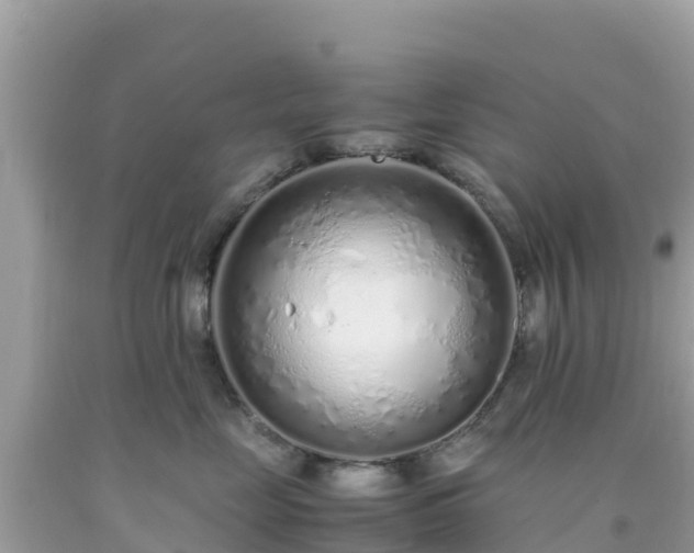 X0000093770669200710231313