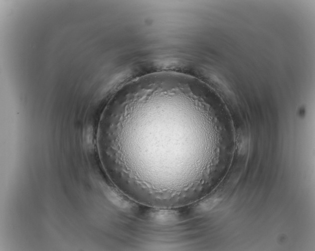 X0000093770670200710231313