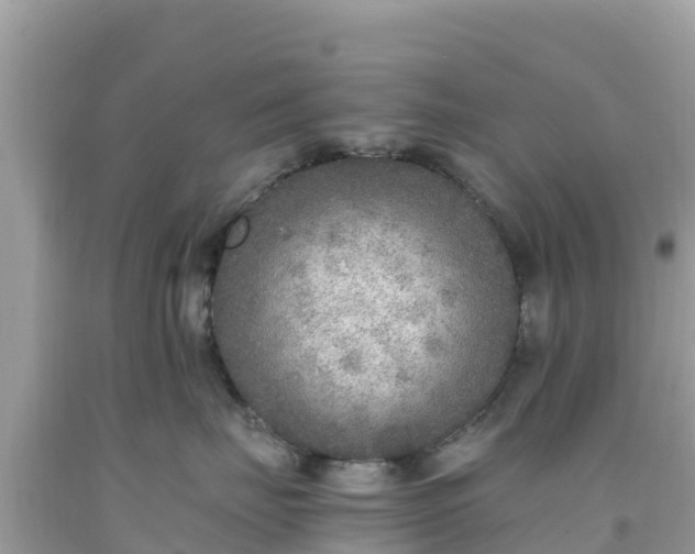 X0000093770671200710231313