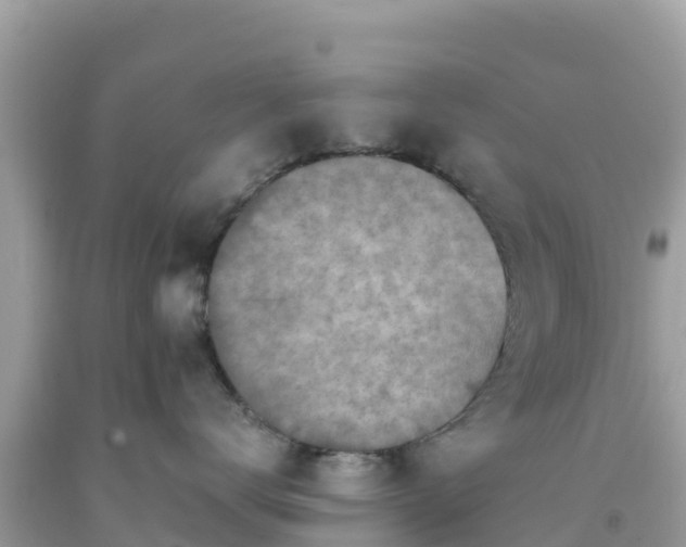 X0000093770672200710231313