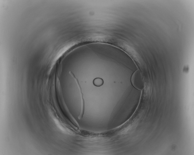 X0000093770674200710231313