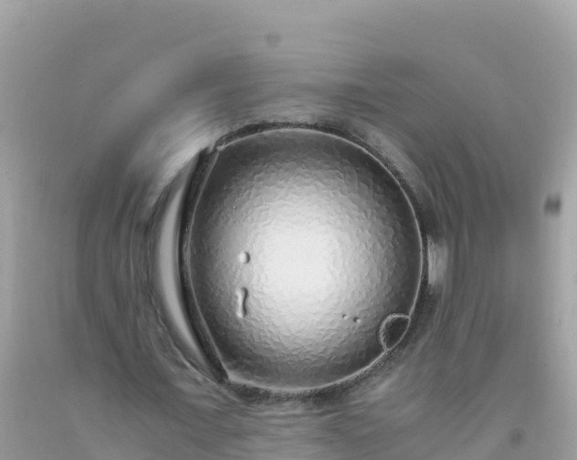 X0000093770675200710231313