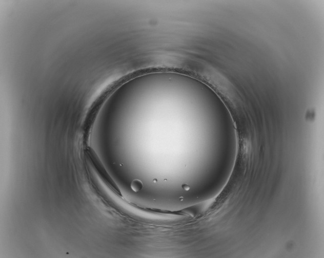 X0000093770676200710231313