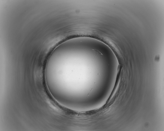 X0000093770677200710231313