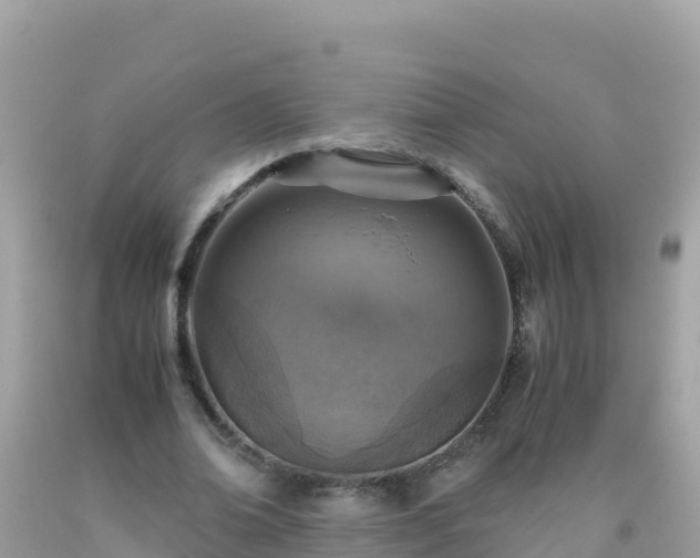 X0000093770678200710231313