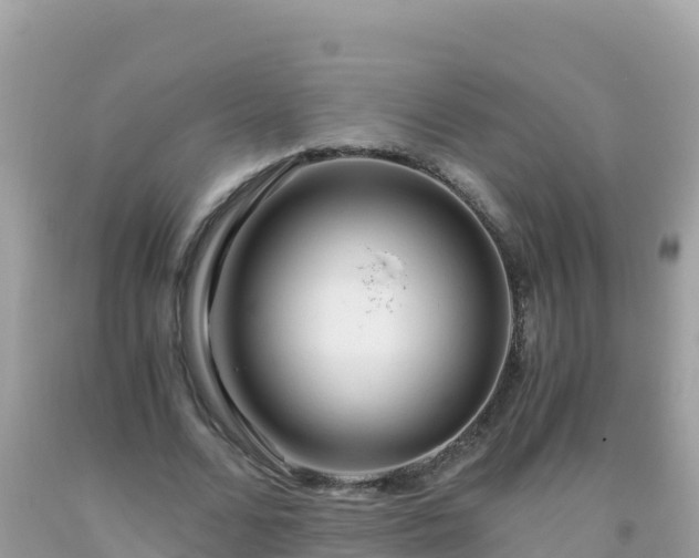 X0000093770680200710231313