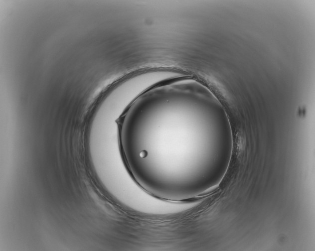 X0000093770684200710231313