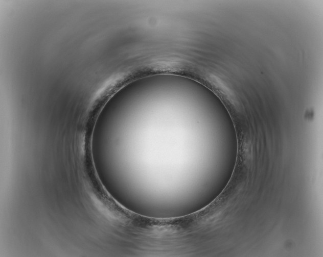 X0000093770686200710231313