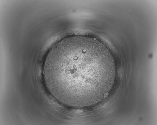 X0000093770687200710231313