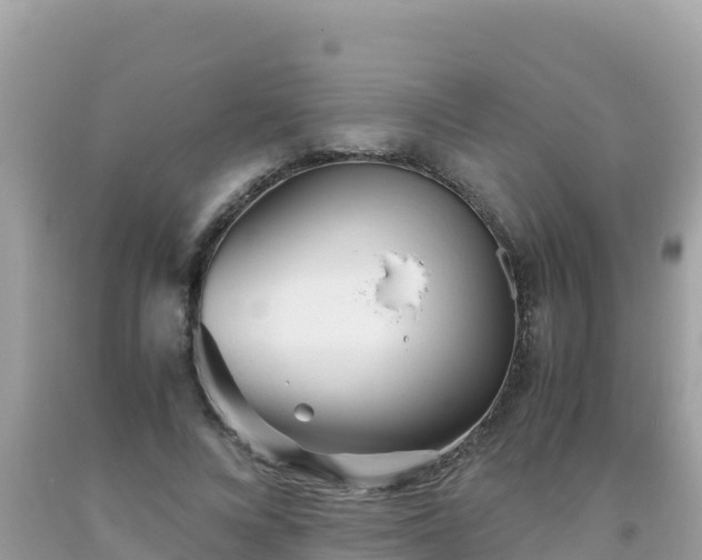 X0000093770688200710231313