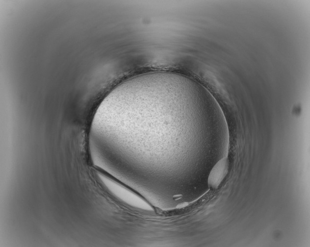 X0000093770689200710231313