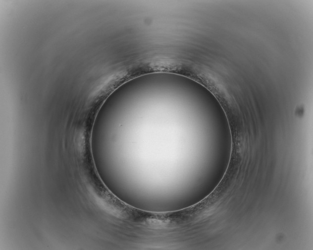 X0000093770690200710231313