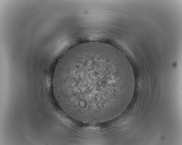 X0000093770691200710231313