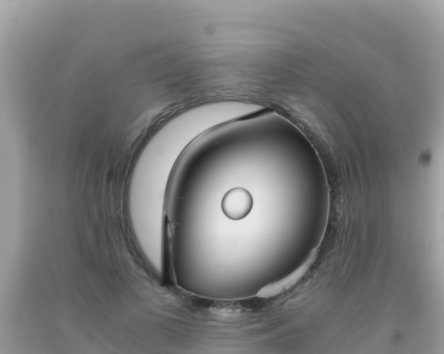 X0000093770693200710231313