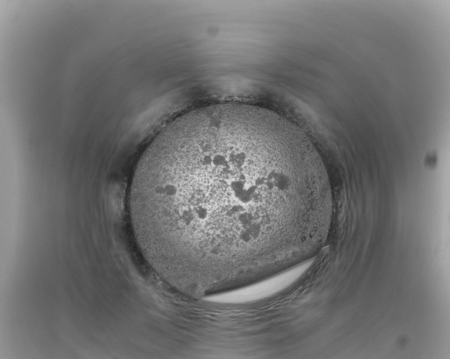 X0000093770695200710231312