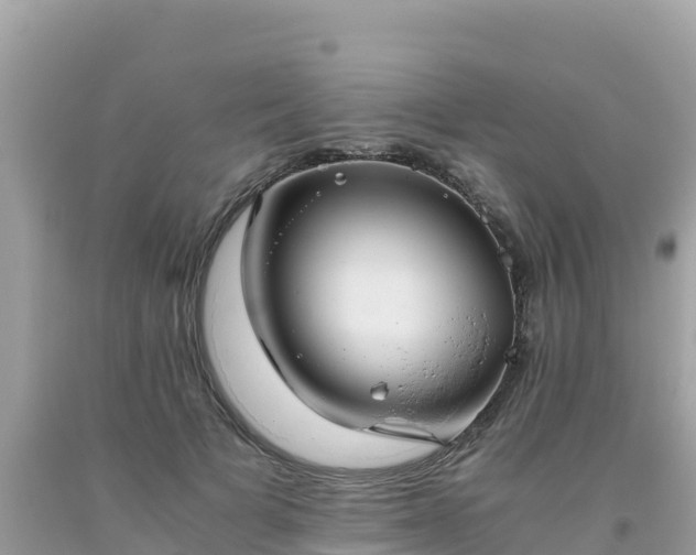 X0000093770697200710231312