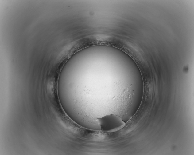 X0000093770698200710231312