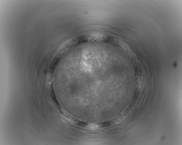 X0000093770701200710231312