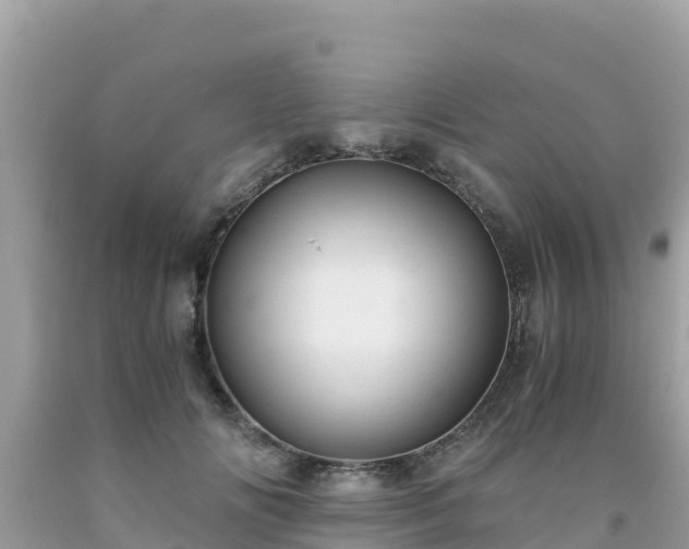 X0000093770702200710231312