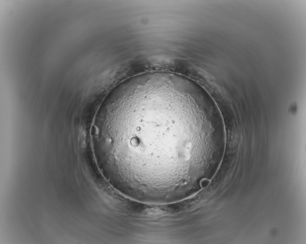 X0000093770703200710231312