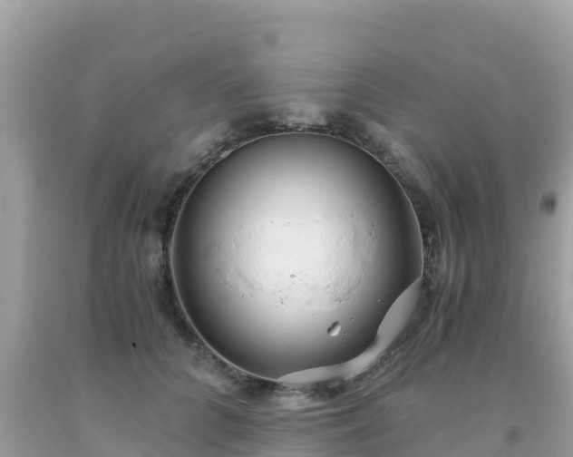 X0000093770704200710231312