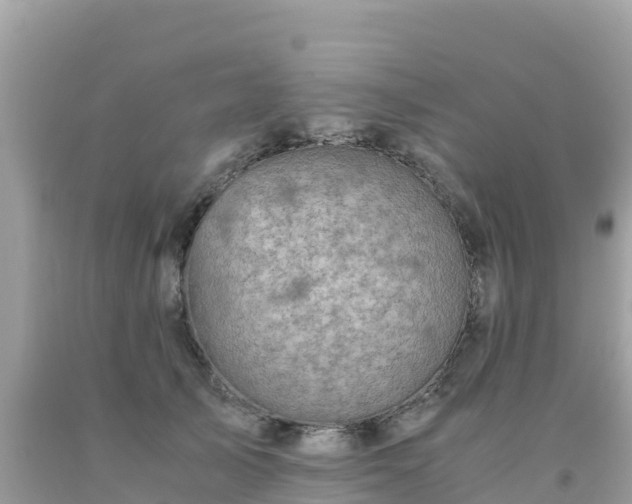 X0000093770705200710231312