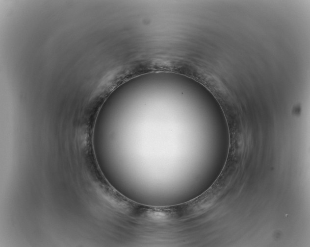 X0000093770706200710231312