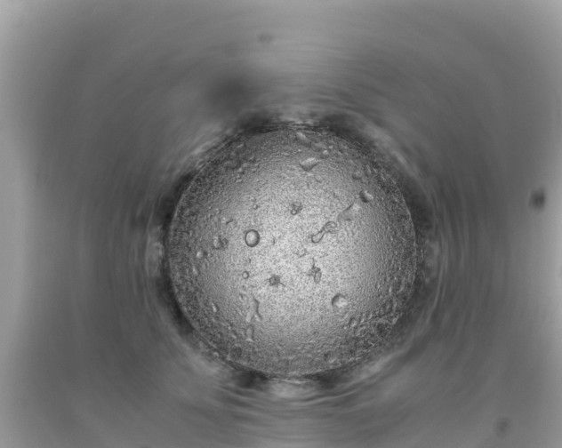 X0000093770707200710231312