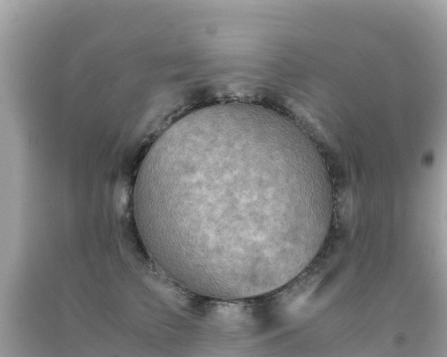 X0000093770709200710231312