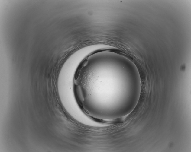 X0000093770711200710231312