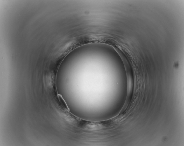 X0000093770712200710231312