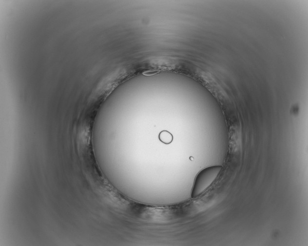 X0000093770713200710231312