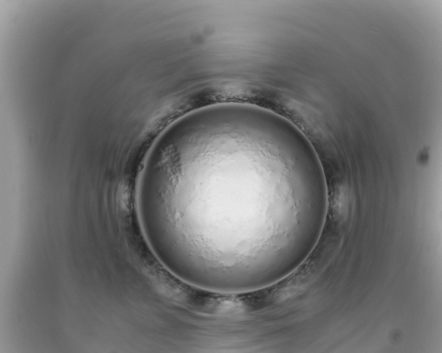 X0000093770715200710231312